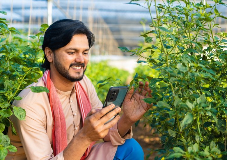 NGO Plantation Initiative